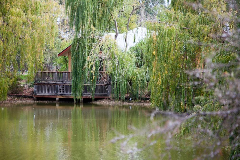 Hotel Perricoota Vines Retreat Moama Zimmer foto