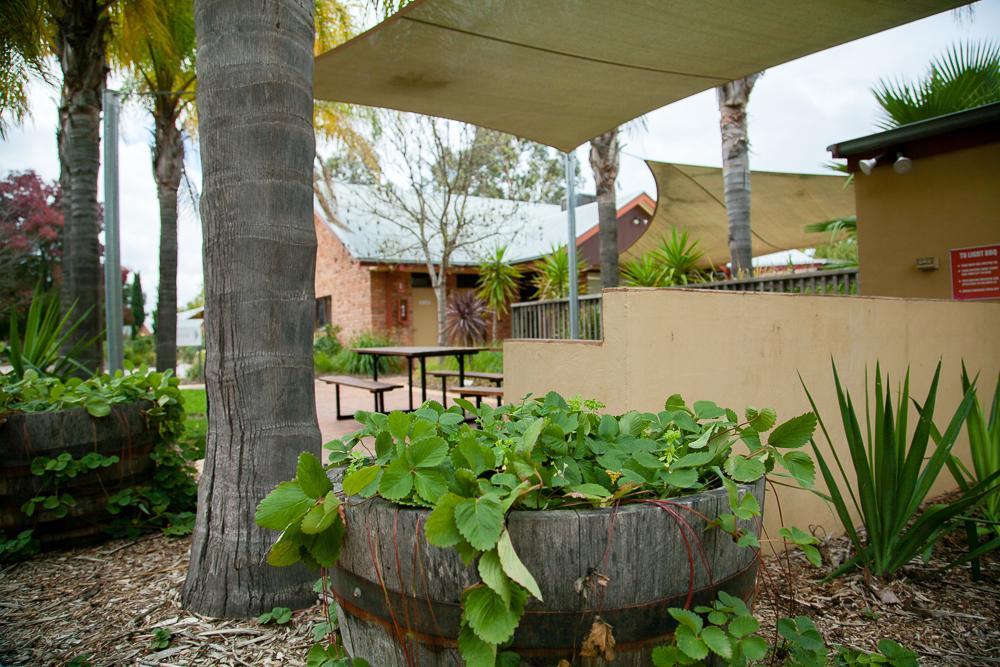 Hotel Perricoota Vines Retreat Moama Exterior foto