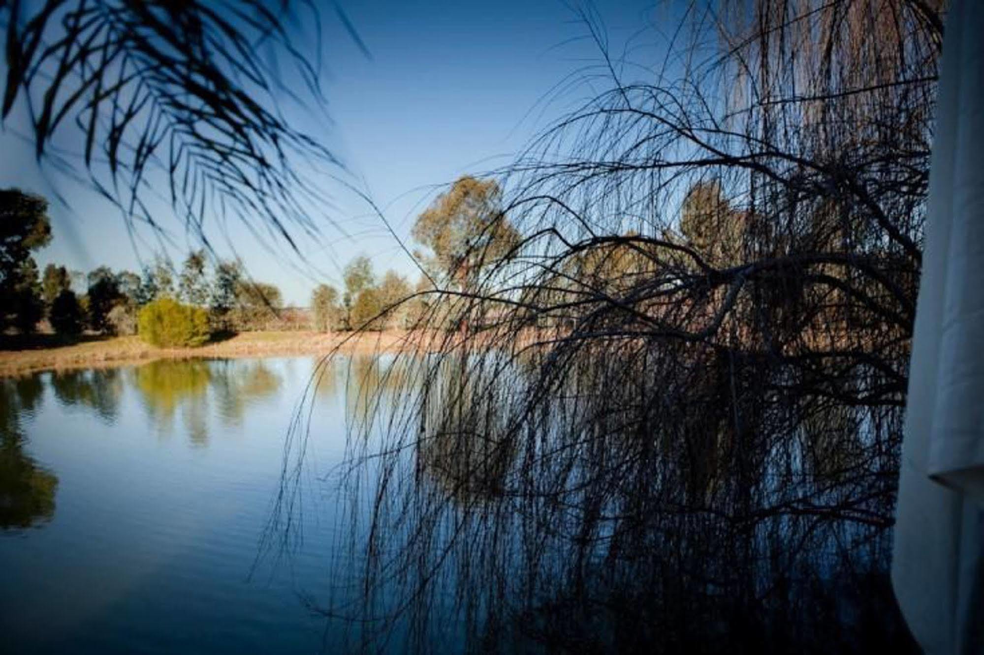 Hotel Perricoota Vines Retreat Moama Exterior foto