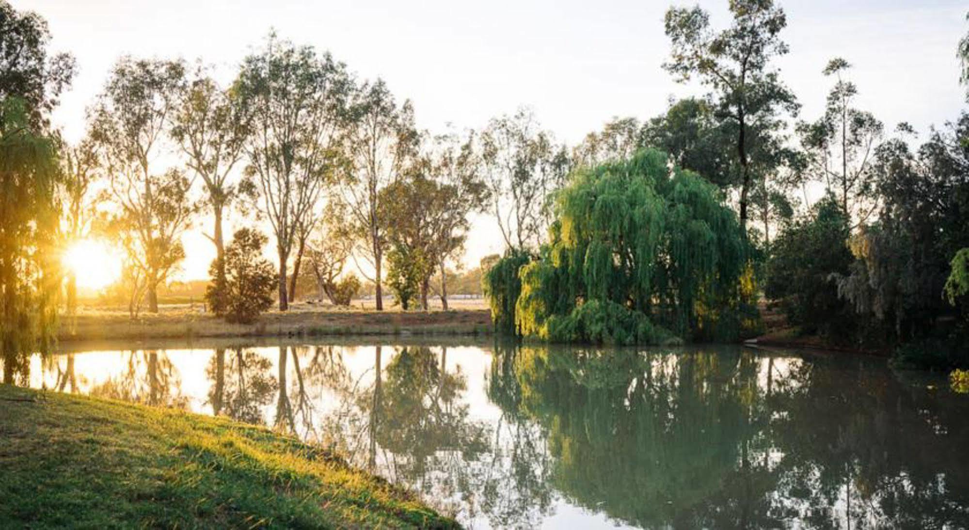 Hotel Perricoota Vines Retreat Moama Exterior foto